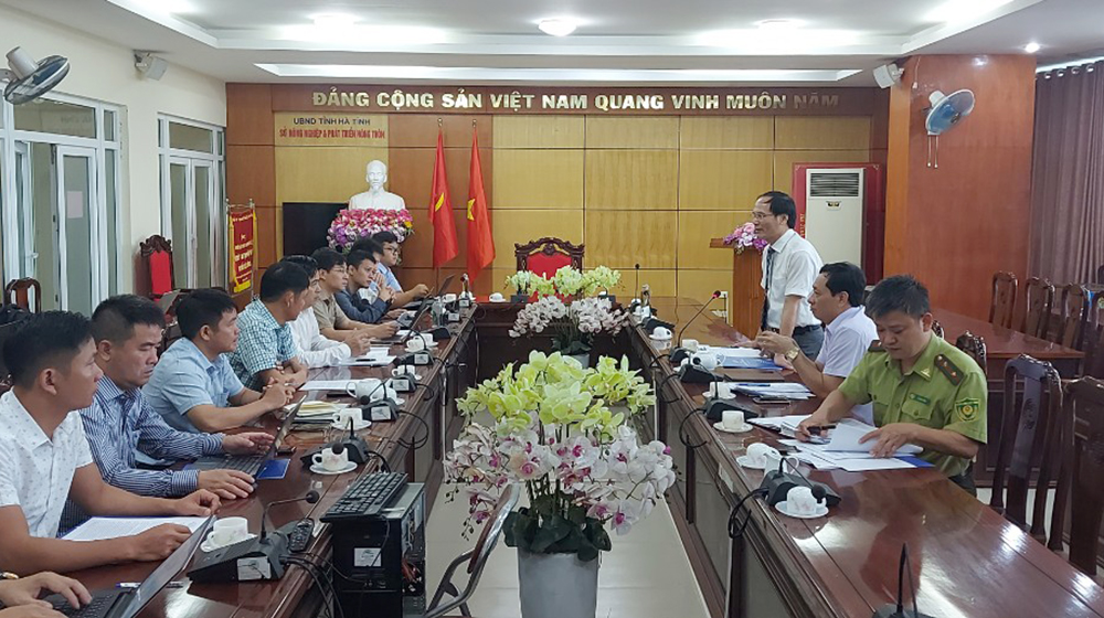 Gỡ vướng chủ trương chuyển mục đích sử dụng rừng dự án đường dây 500kV mạch 3 - Ảnh 1. Gỡ vướng chủ trương chuyển mục đích sử dụng rừng dự án đường dây 500kV mạch 3 - Ảnh 1.