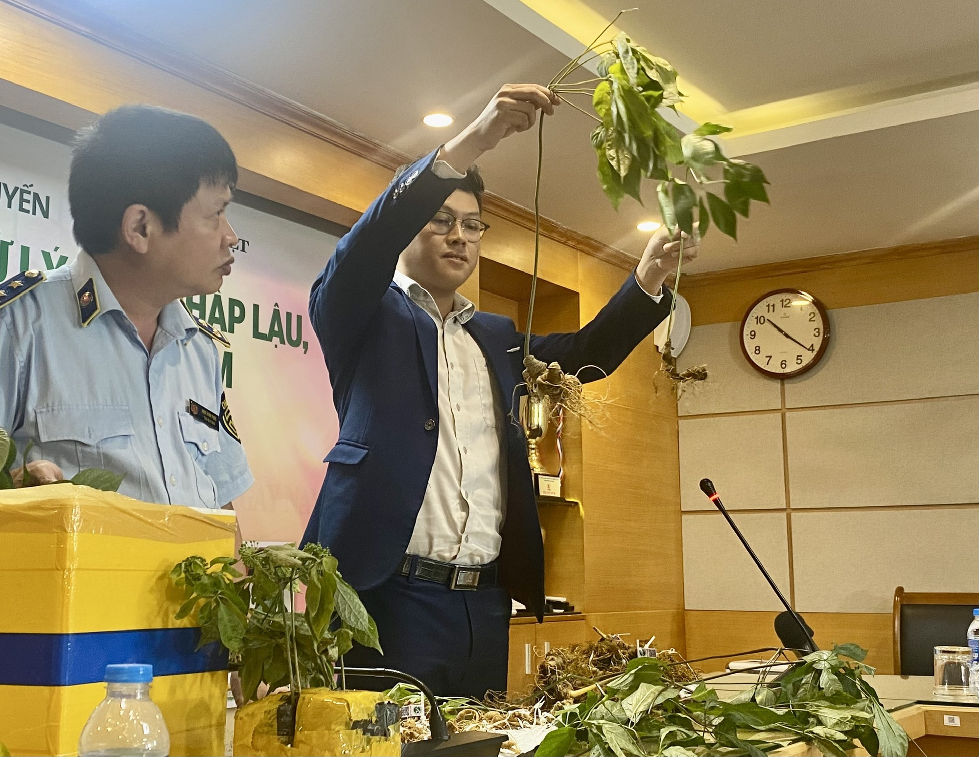 Chung tay bảo vệ thương hiệu sâm Việt Nam
