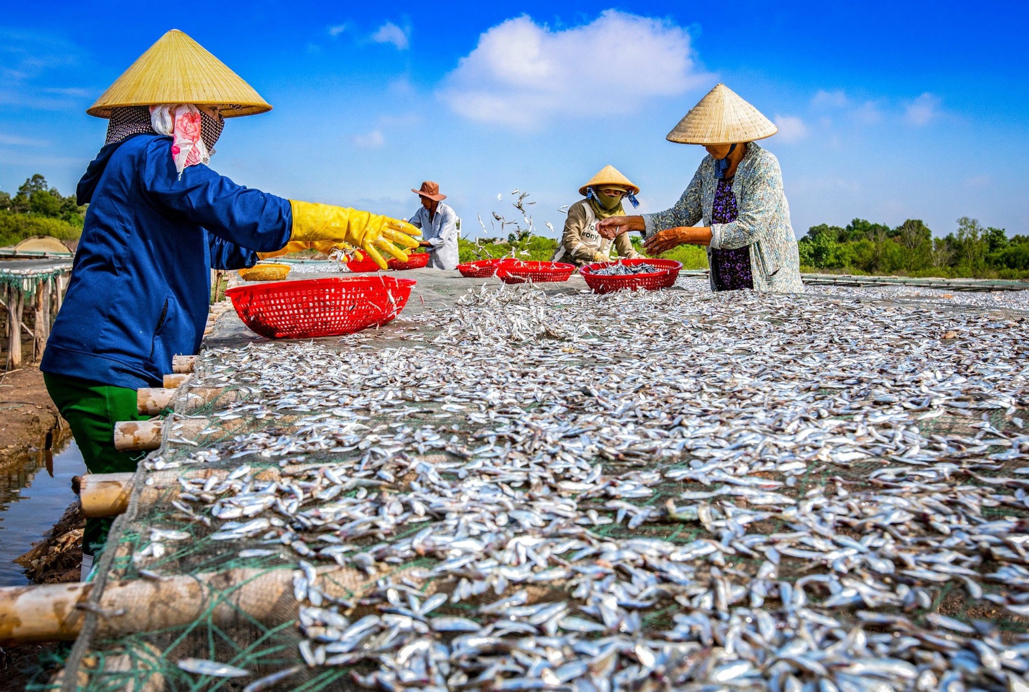 Bà Rịa-Vũng Tàu: Cơ hội quảng bá sản phẩm OCOP cho doanh nghiệp- Ảnh 1. Bà Rịa-Vũng Tàu: Cơ hội quảng bá sản phẩm OCOP cho doanh nghiệp- Ảnh 1.