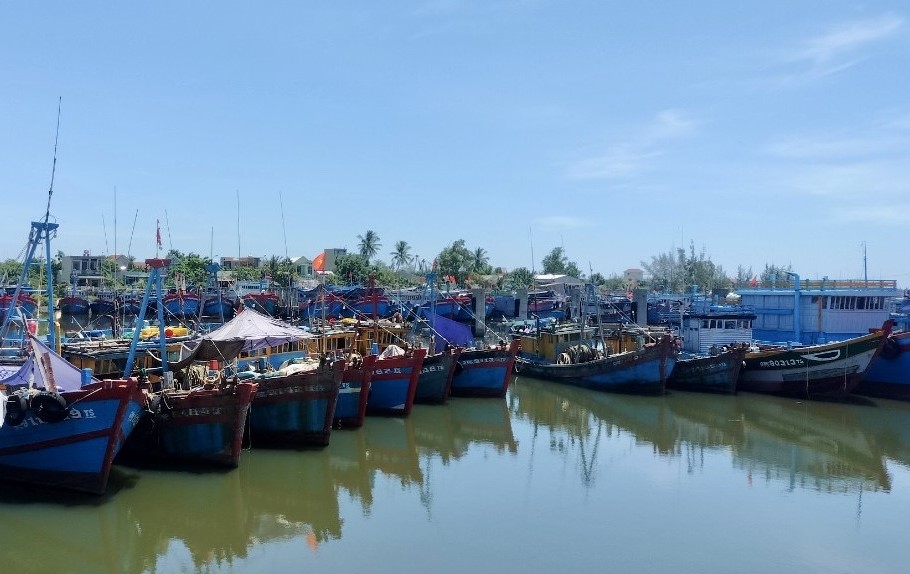 Quảng Ngãi: Ngăn chặn, xử lý tàu cá có ý định đi khai thác vùng biển nước ngoài- Ảnh 1.