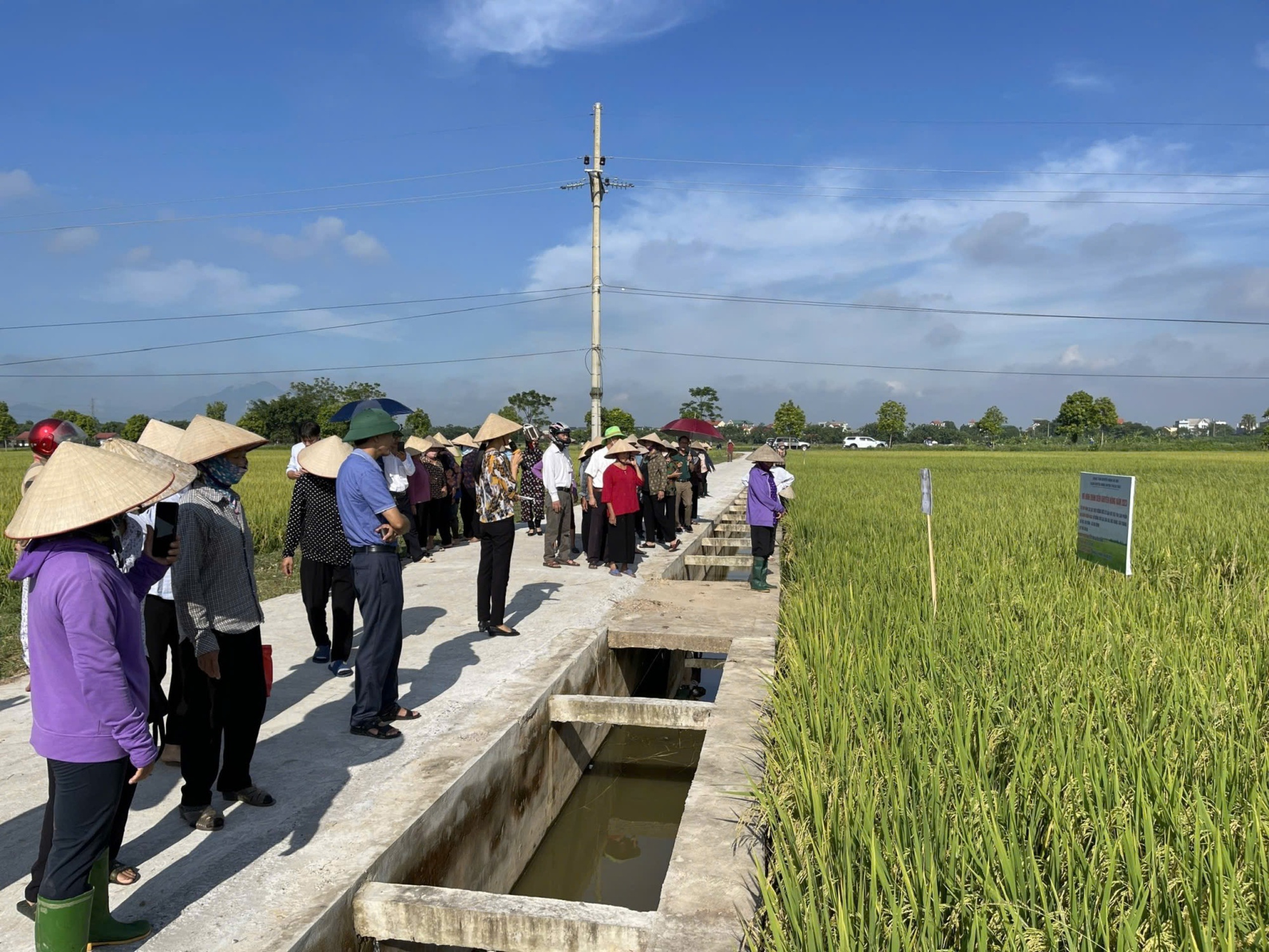 Hà Nội Đẩy Mạnh Chương Trình Xây Dựng Nông Thôn Mới: Hành Trình Chuyển Mình Mạnh Mẽ