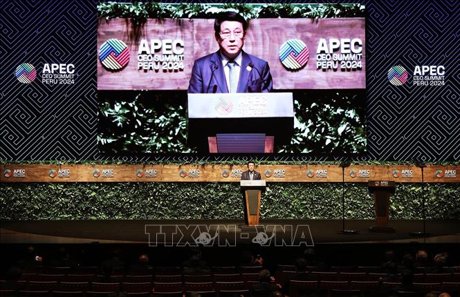 Chủ tịch nước phát biểu tại Hội nghị Thượng đỉnh doanh nghiệp APEC-CEO Summit- Ảnh 1.