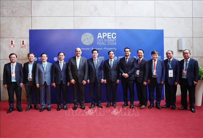 Chủ tịch nước phát biểu tại Hội nghị Thượng đỉnh doanh nghiệp APEC-CEO Summit- Ảnh 3.