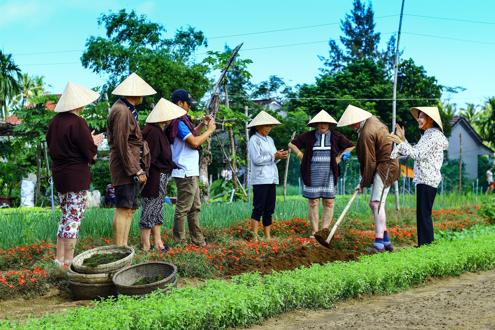 Làng rau Trà Quế được công nhận "Làng Du lịch tốt nhất" năm 2024- Ảnh 1.