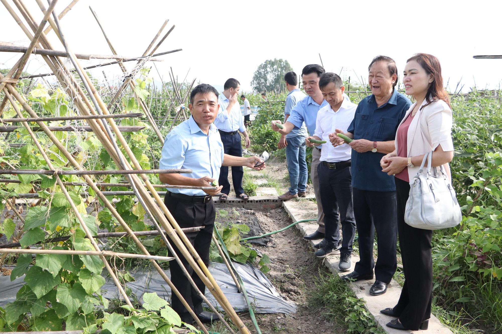 Hiệu quả sản xuất từ Diễn đàn Khuyến nông@- Ảnh 2.