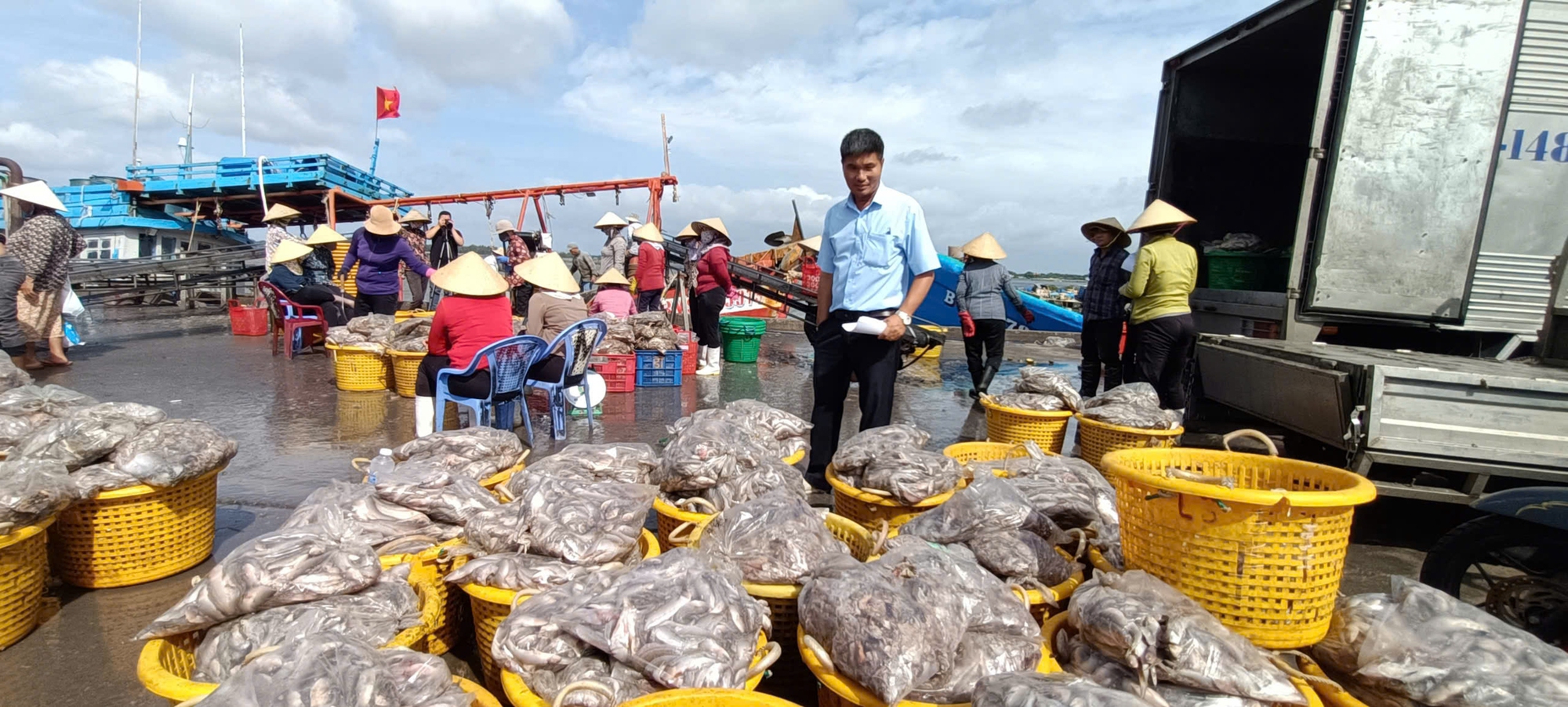 Bà Rịa-Vũng Tàu nỗ lực hoàn thiện khuyến nghị của EC về chống khai thác IUU- Ảnh 3.