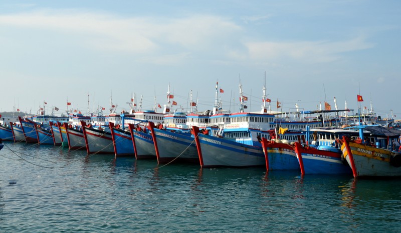 Chấn chỉnh công tác cấp giấy xác nhận nguyên liệu thủy sản, giấy chứng nhận thủy sản khai thác- Ảnh 1. Chấn chỉnh công tác cấp giấy xác nhận nguyên liệu thủy sản, giấy chứng nhận thủy sản khai thác- Ảnh 1.