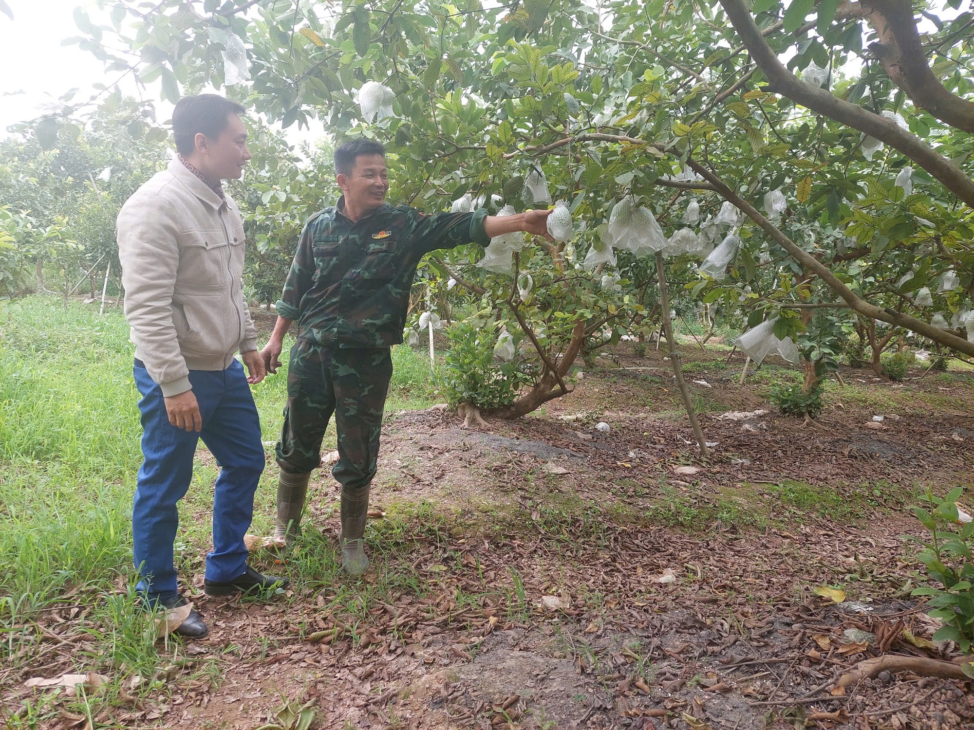 Thực hiện mục tiêu kép xây dựng nông thôn mới nâng cao gắn với tiến trình lên quận- Ảnh 1.