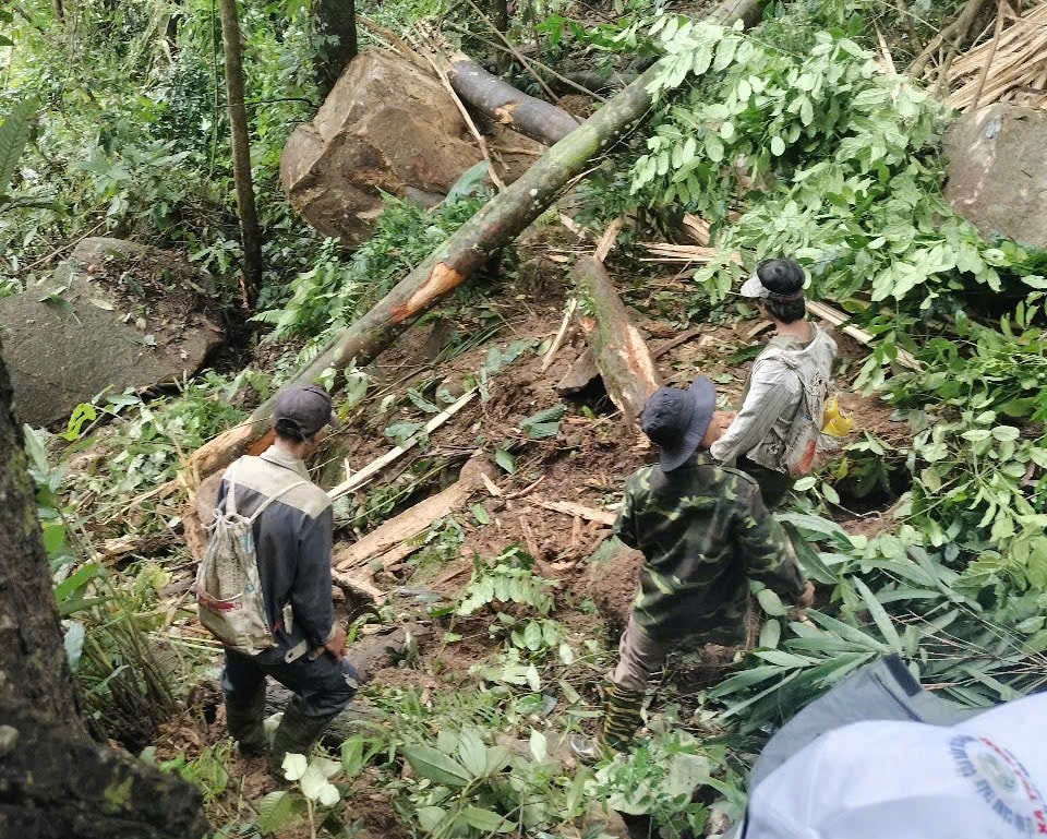 Chuyên gia nói gì về hiện tượng lở đá tại Quảng Nam do động đất liên tiếp- Ảnh 1.