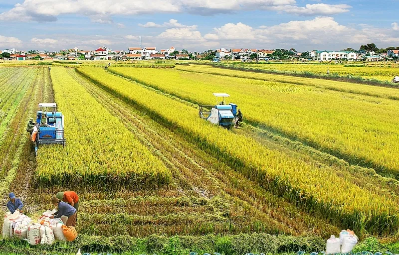 Đề xuất kéo dài miễn thuế sử dụng đất nông nghiệp đến hết ngày 31/12/2030- Ảnh 1.