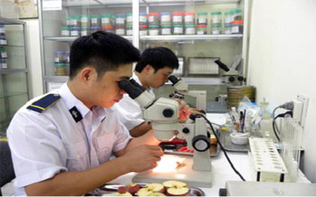 van phong vinacas ho tro doanh nghiep thao go vuong mac thu tuc kiem dich ?