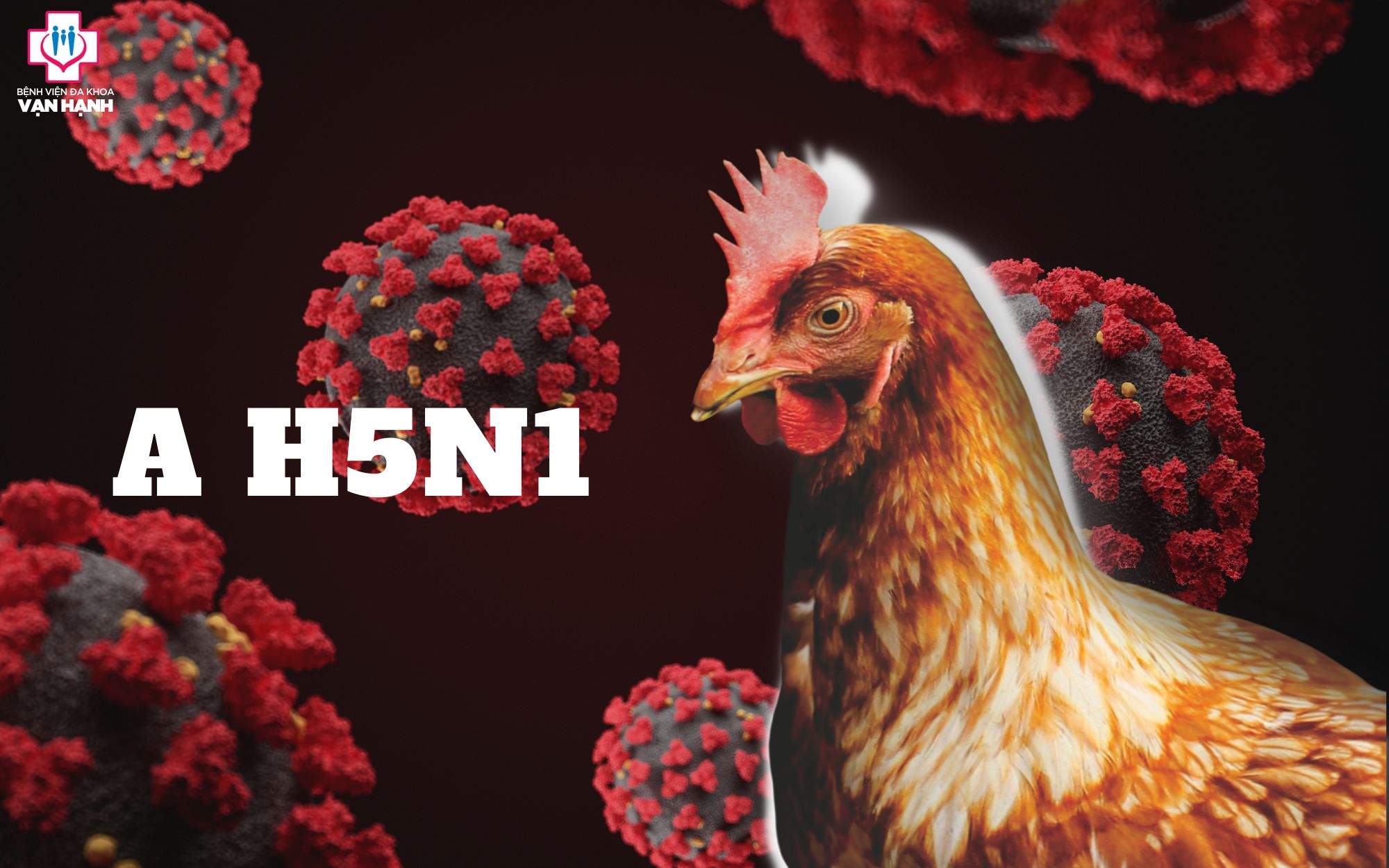 H5N1 ở Người: Tất Cả Những Điều Cần Biết về Virus Nguy Hiểm