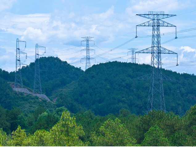 Quy định mới về tạm sử dụng rừng phục vụ thi công dự án lưới điện vì lợi ích quốc gia, công cộng- Ảnh 1.