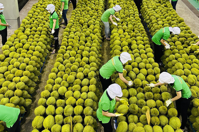 Điểm danh 4 mặt hàng nông sản Việt Nam được thế giới ưa chuộng- Ảnh 1.