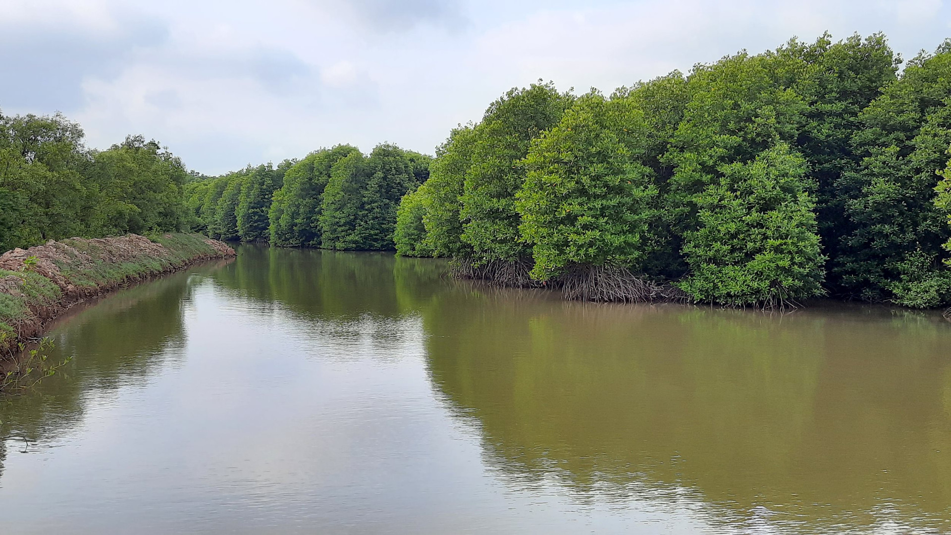 Hệ sinh thái ton (97) 사진