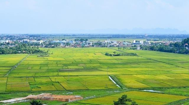quyen-va-trach-nhiem-cua-nha-nuoc-doi-voi-dat-dai-1720868021614303207344.png