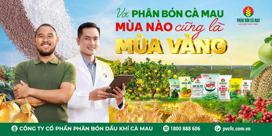 Phân bón Cà Mau đồng hành cùng bà con nông dân để gặt hái 'mùa vàng'- Ảnh 1.