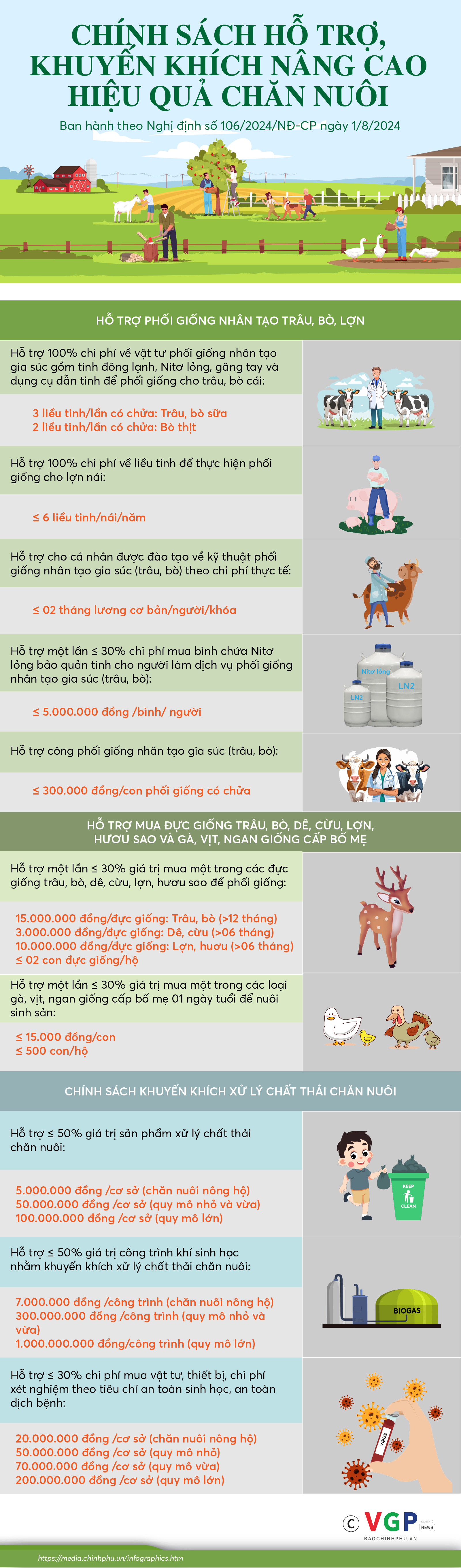 Infographics: Chính sách hỗ trợ, khuyến khích nâng cao hiệu quả chăn nuôi- Ảnh 1.