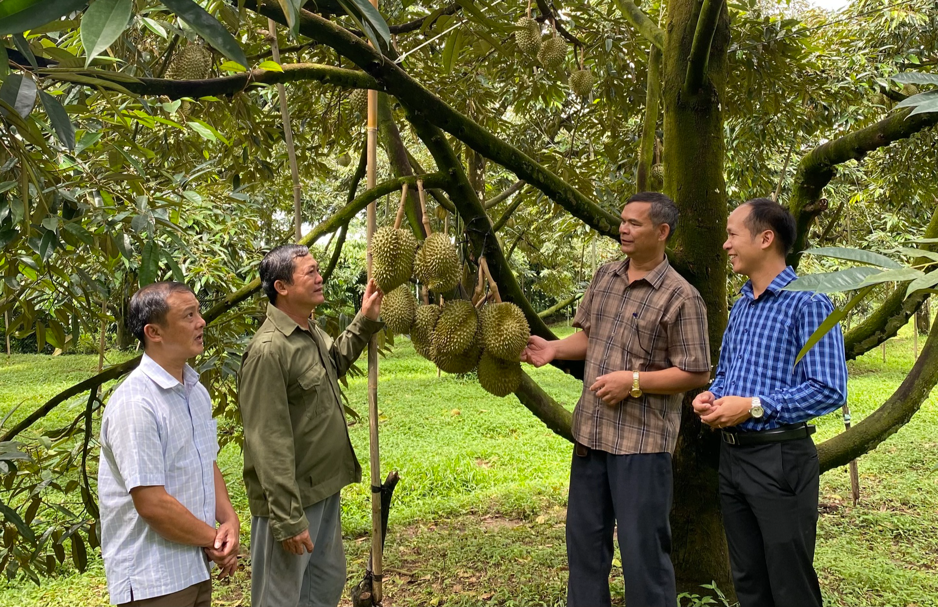 Chư Pưh thoát nghèo, làm giàu từ nguồn vốn nhân văn- Ảnh 2.