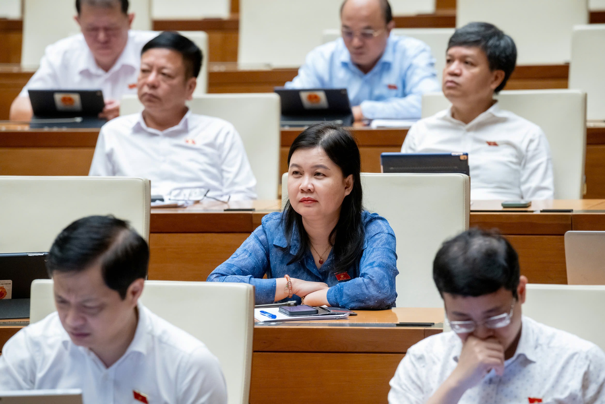 Phó Thủ tướng Lê Thành Long làm rõ thêm một số vấn đề liên quan thuộc trách nhiệm của Chính phủ- Ảnh 2.