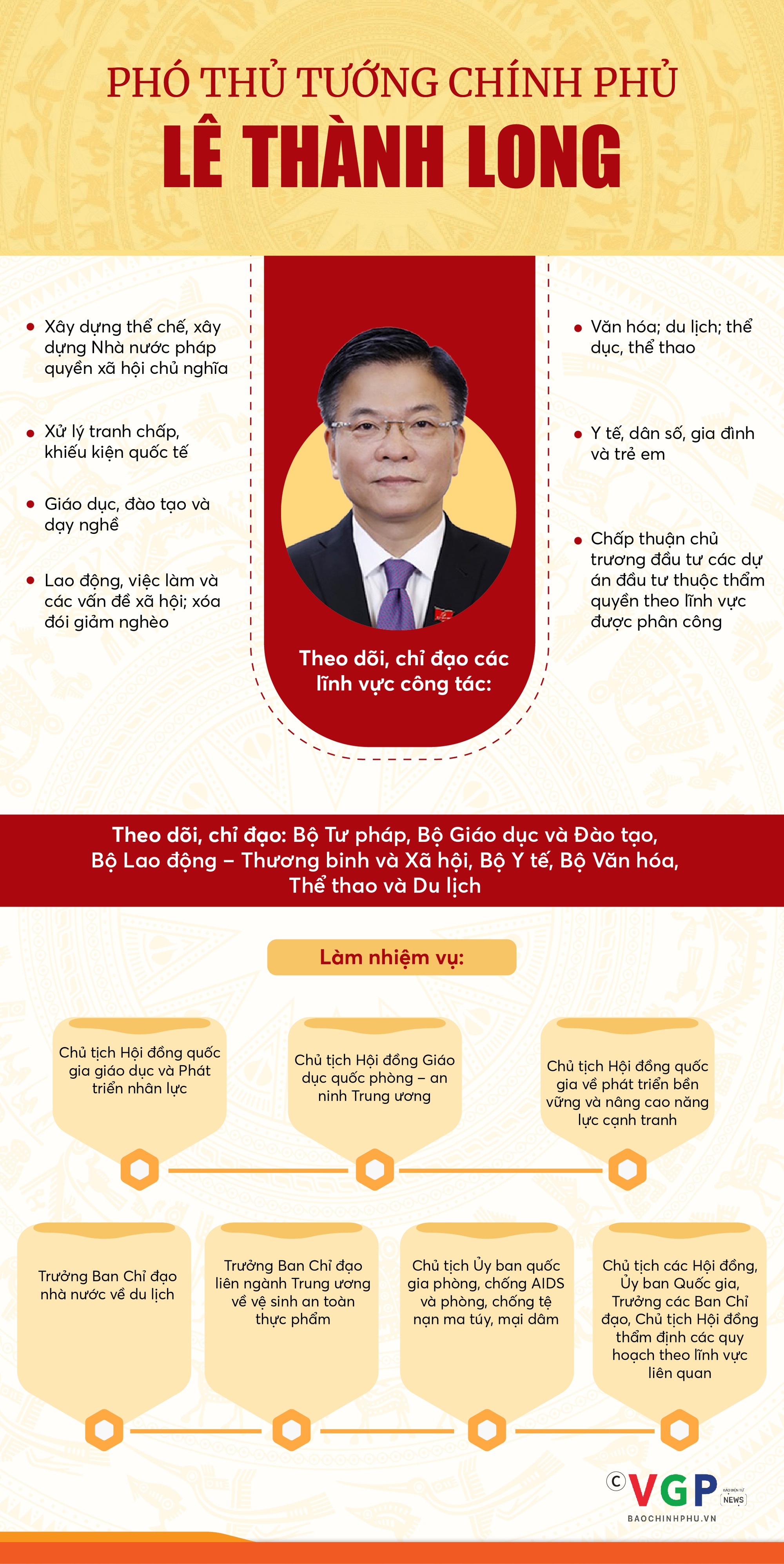 INFOGRAPHICS: Nhiệm vụ của các Phó Thủ tướng Chính phủ theo phân công- Ảnh 3.