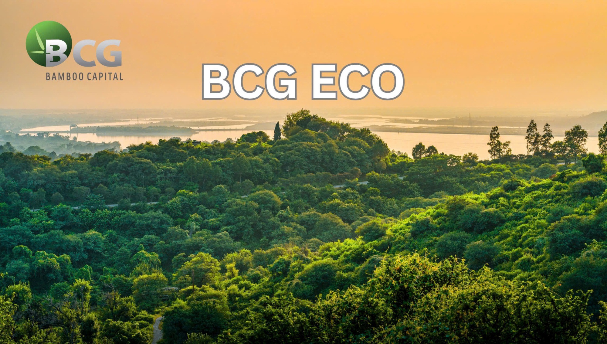 Bamboo Capital thành lập công ty trồng và chăm sóc rừng BCG Eco- Ảnh 1.