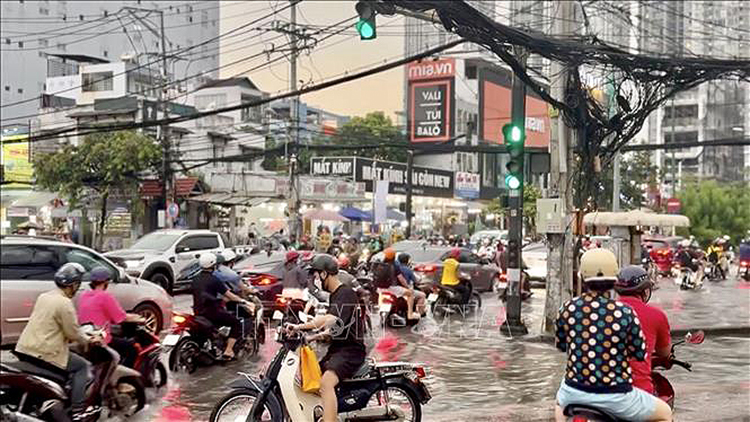 Thời tiết ngày 1/9: Tây Nguyên và Nam Bộ mưa to và dông- Ảnh 1.