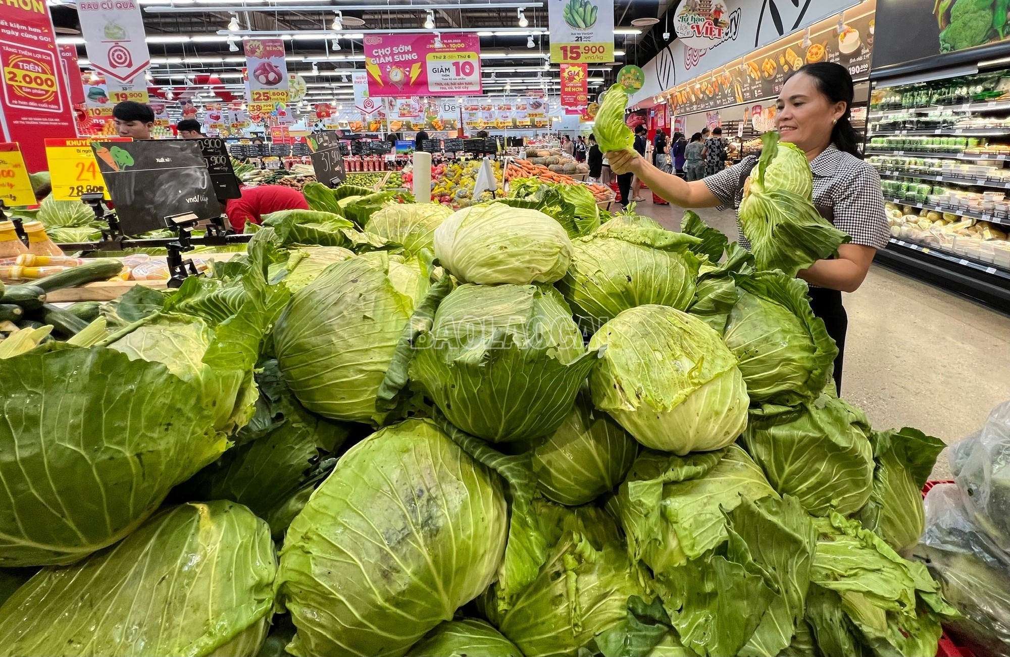 Sau lũ, rau xanh tăng giá nhẹ, thực phẩm bình ổn, bảo đảm nguồn cung- Ảnh 1. Sau lũ, rau xanh tăng giá nhẹ, thực phẩm bình ổn, bảo đảm nguồn cung- Ảnh 1.