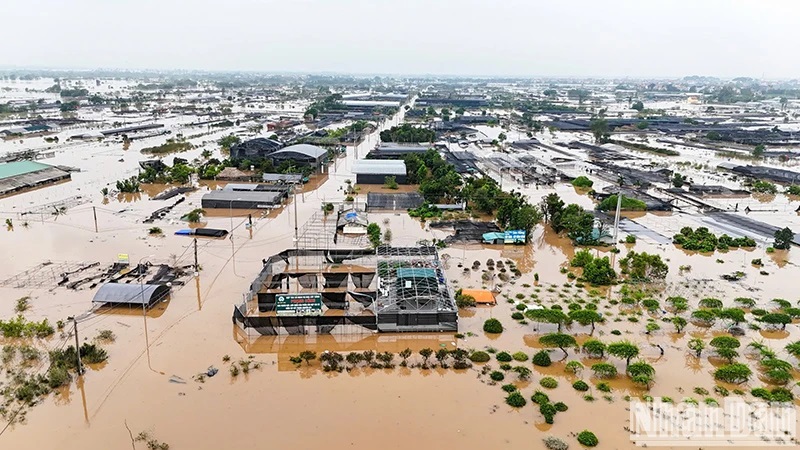 Việt Nam trân trọng sự đoàn kết, thăm hỏi kịp thời của cộng đồng quốc tế- Ảnh 1.