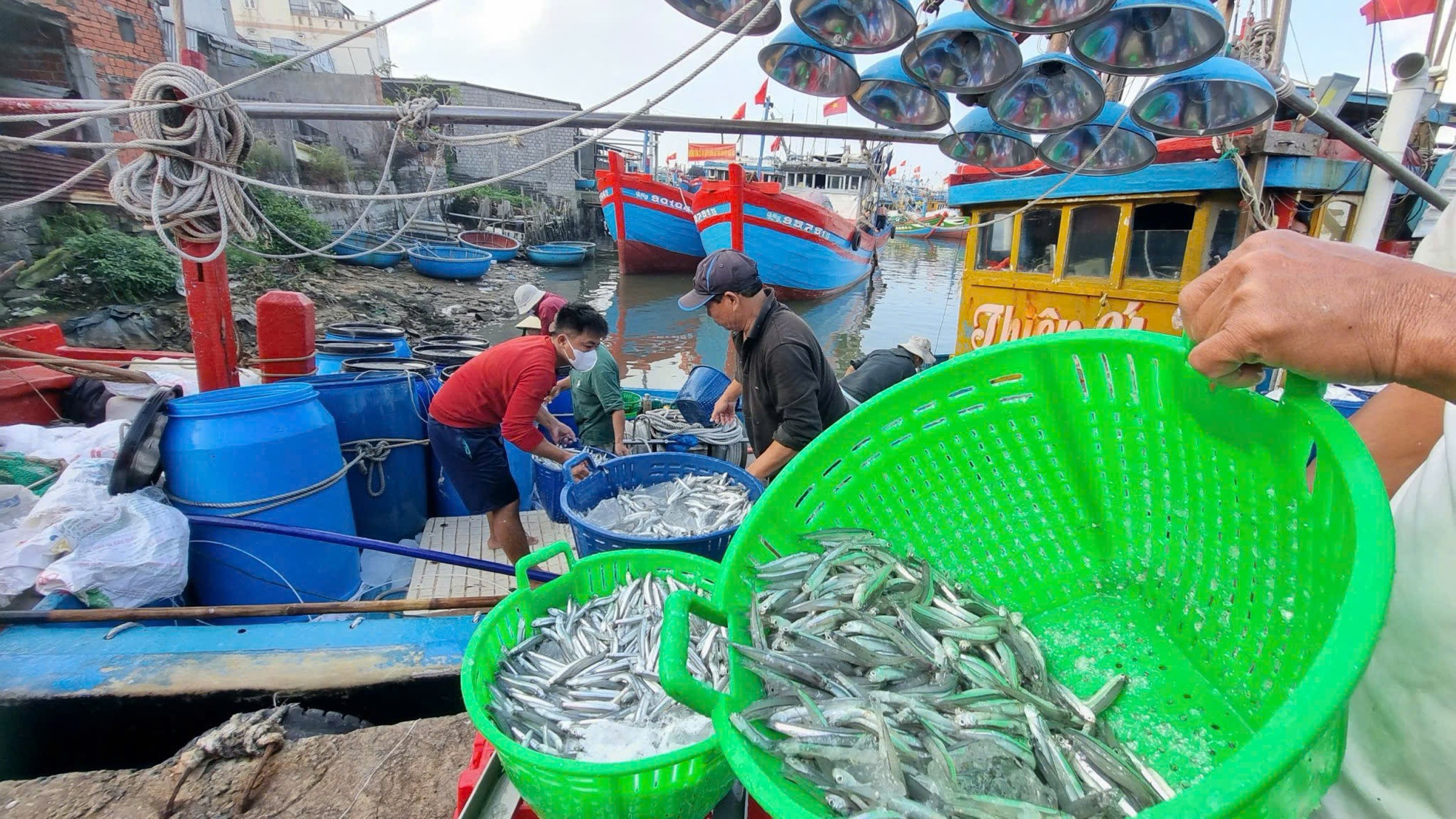 Quảng Ngãi: Nhiều chuyển biến tích cực trong chống khai thác IUU- Ảnh 3.