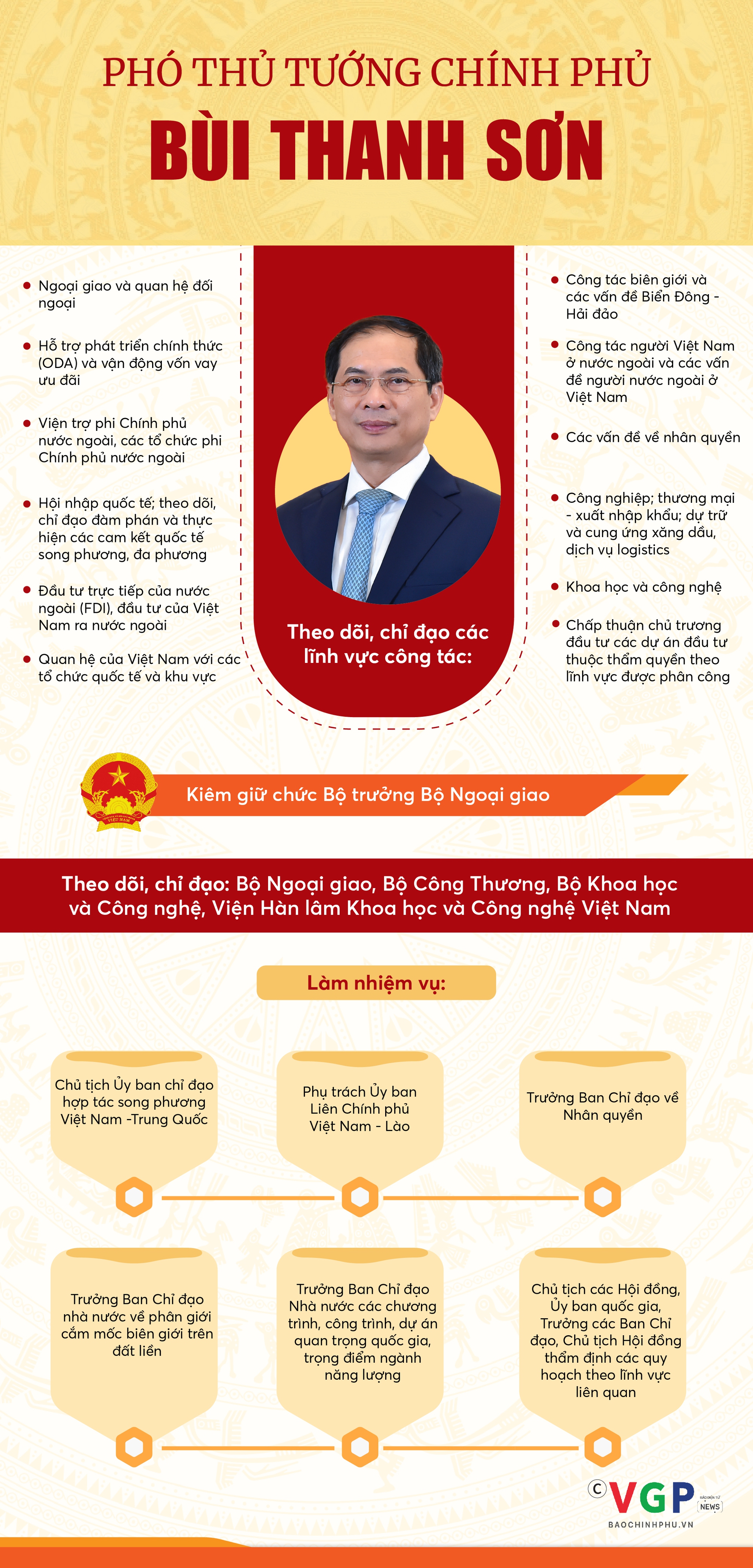 INFOGRAPHICS: Nhiệm vụ của các Phó Thủ tướng Chính phủ theo phân công- Ảnh 5.