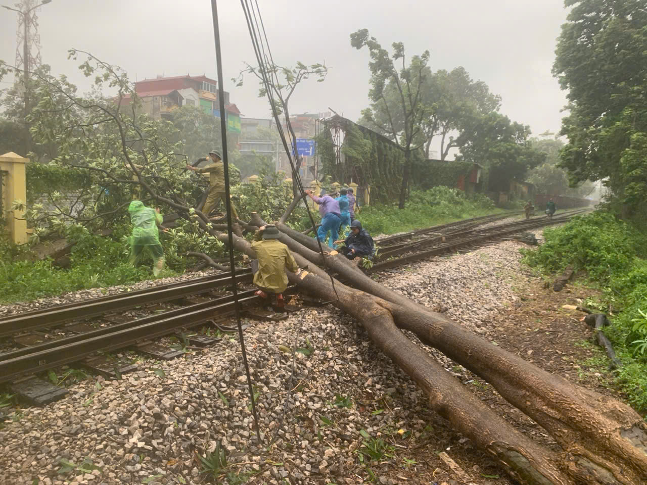 Đường sắt Bắc - Nam thông tuyến, quốc lộ không xảy sạt lở lớn sau bão số 3
- Ảnh 1.