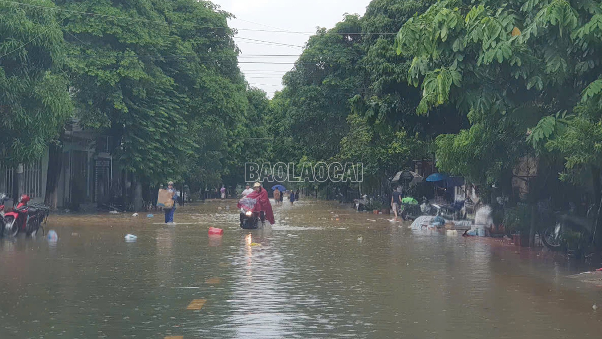 Thành phố Lào Cai khẩn trương di chuyển các hộ dân dọc 2 bên sông Hồng- Ảnh 4.