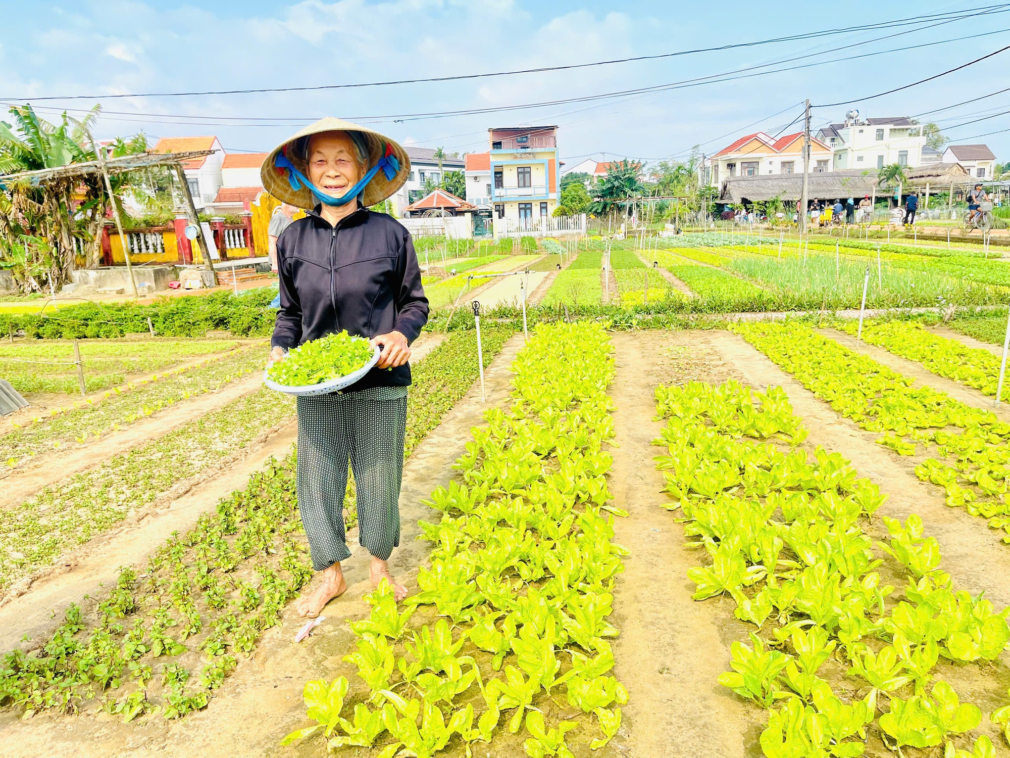 Làng nông nghiệp 'hút' khách quốc tế- Ảnh 4.