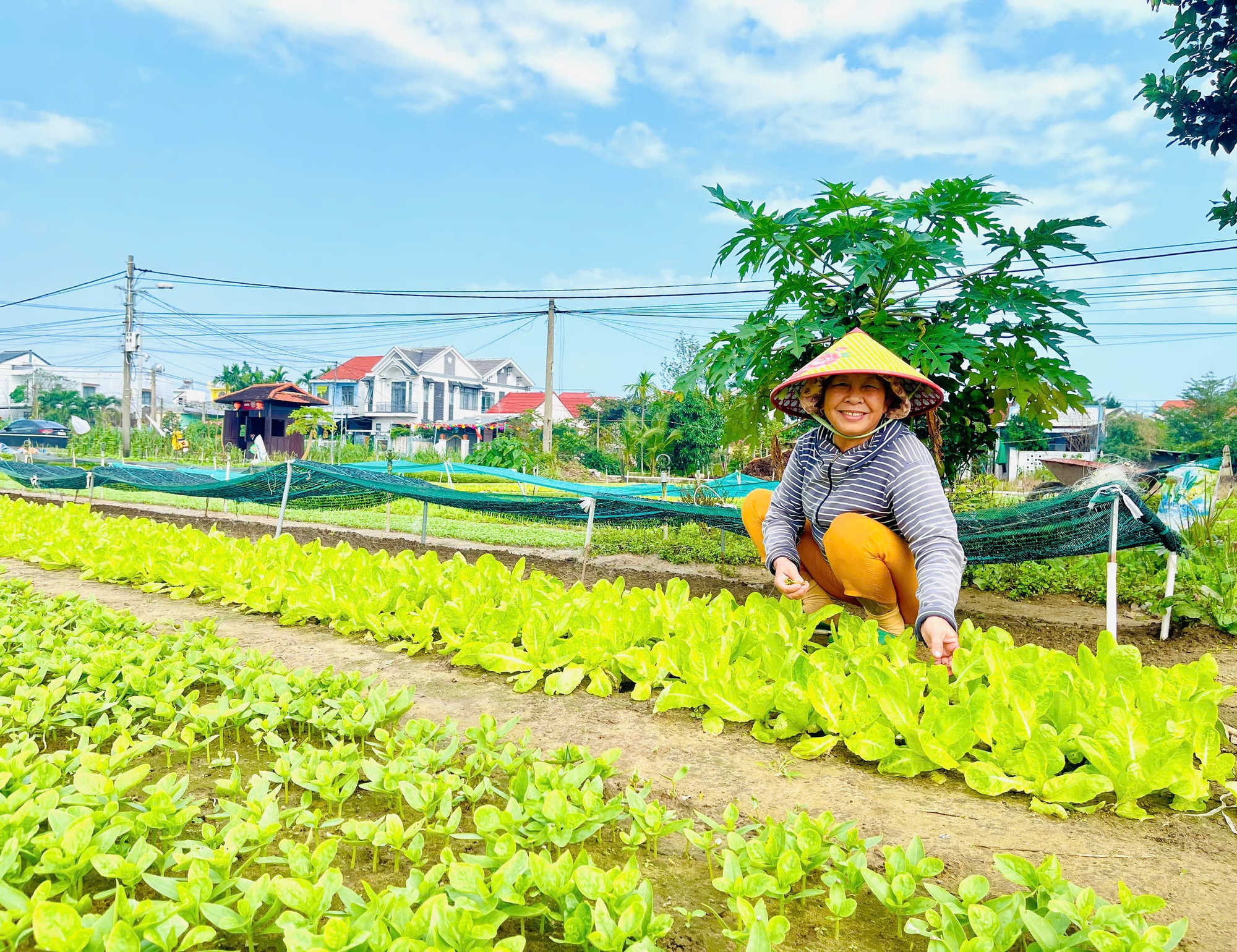 Làng nông nghiệp 'hút' khách quốc tế- Ảnh 2.