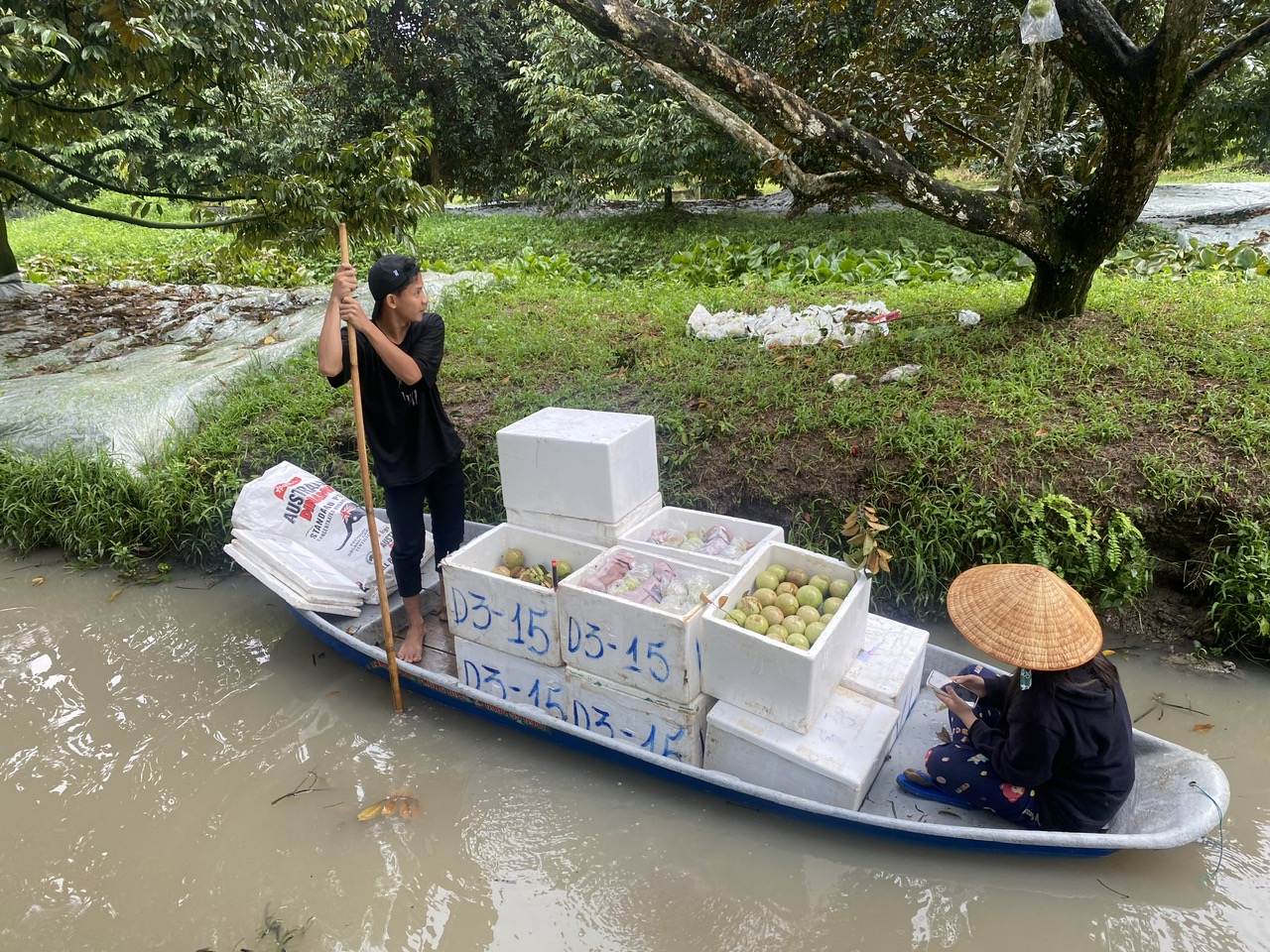 Quản lý rau quả cần chặt chẽ từ nơi sản xuất- Ảnh 1.