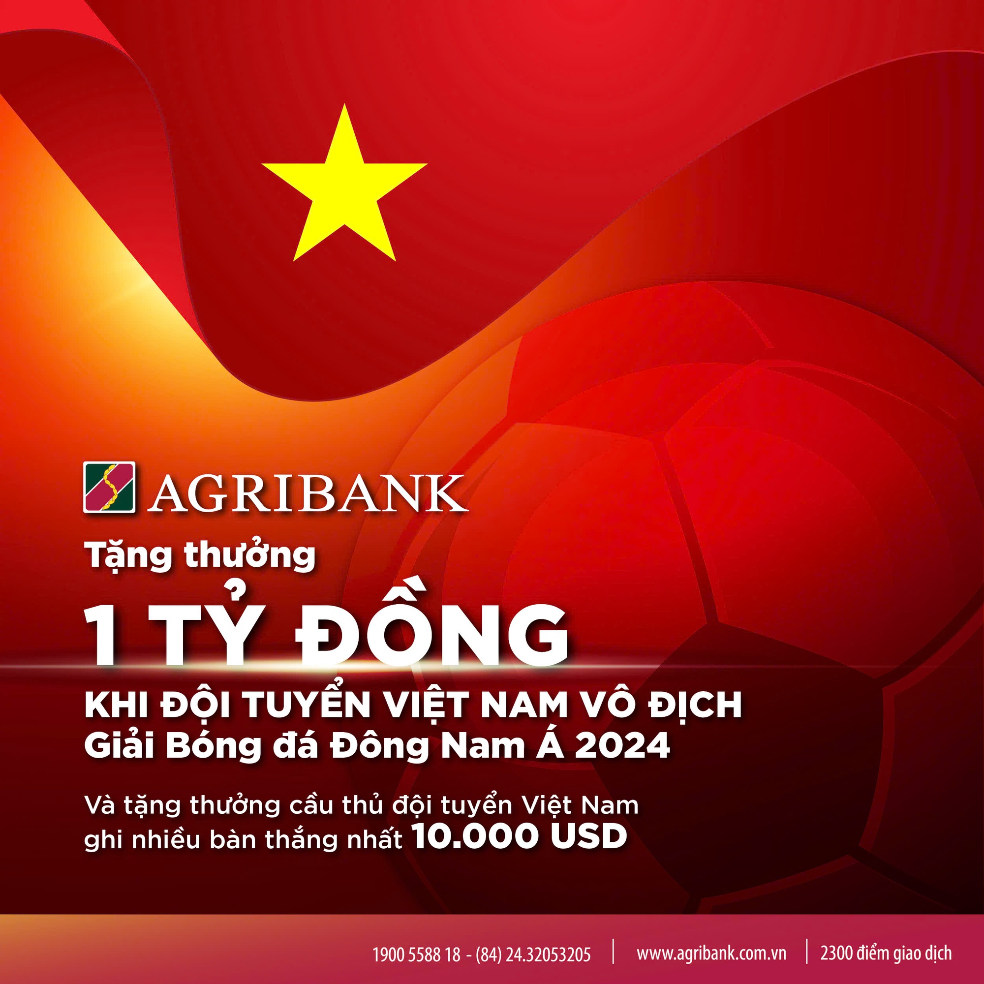 Agribank sẽ trao thưởng 1 tỷ đồng khi tuyển Việt Nam vô địch AFF CUP 2024- Ảnh 1.