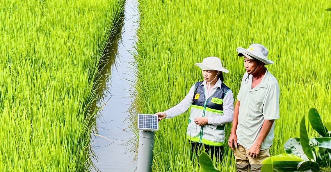 Chuẩn hóa hệ thống khuyến nông theo mô hình tinh gọn, liên thông, thống nhất- Ảnh 1. Chuẩn hóa hệ thống khuyến nông theo mô hình tinh gọn, liên thông, thống nhất- Ảnh 1.