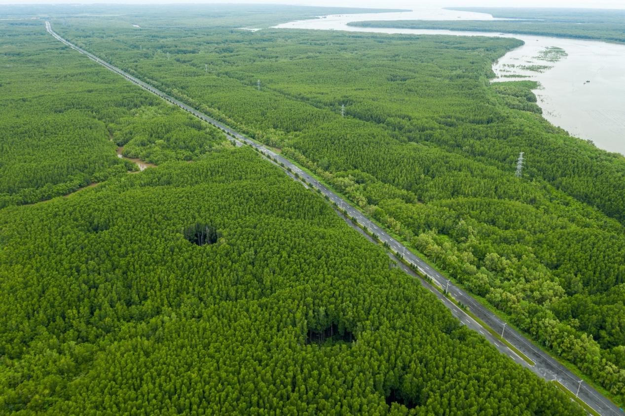 Thêm chính sách để 'rộng đường' cho 'xanh hóa' công trình, giao thông- Ảnh 3. Thêm chính sách để 'rộng đường' cho 'xanh hóa' công trình, giao thông- Ảnh 3.
