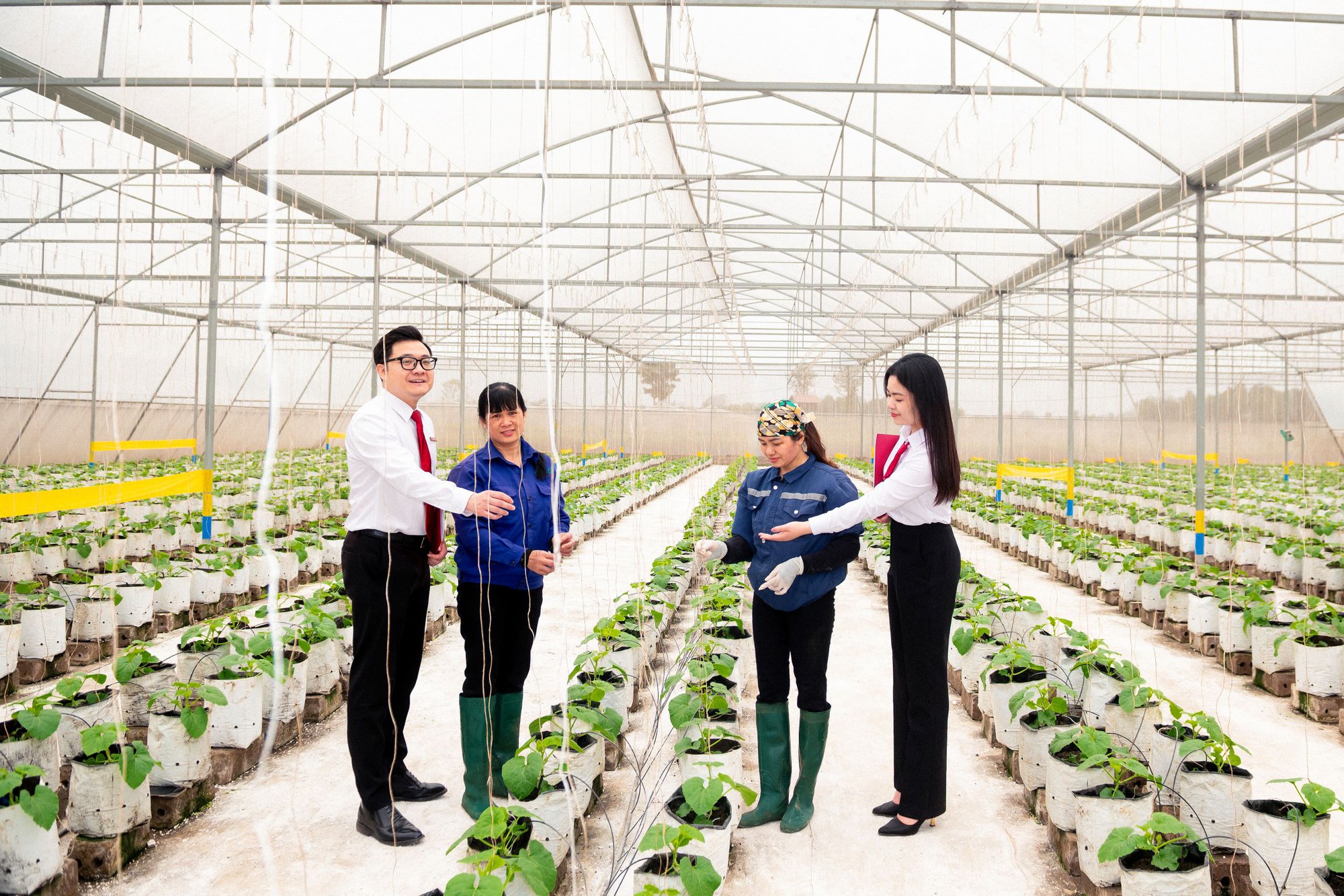 Đẩy mạnh sắp xếp mạng lưới, Agribank tăng cường nguồn lực cho 'Tam nông'- Ảnh 4. Đẩy mạnh sắp xếp mạng lưới, Agribank tăng cường nguồn lực cho 'Tam nông'- Ảnh 4.