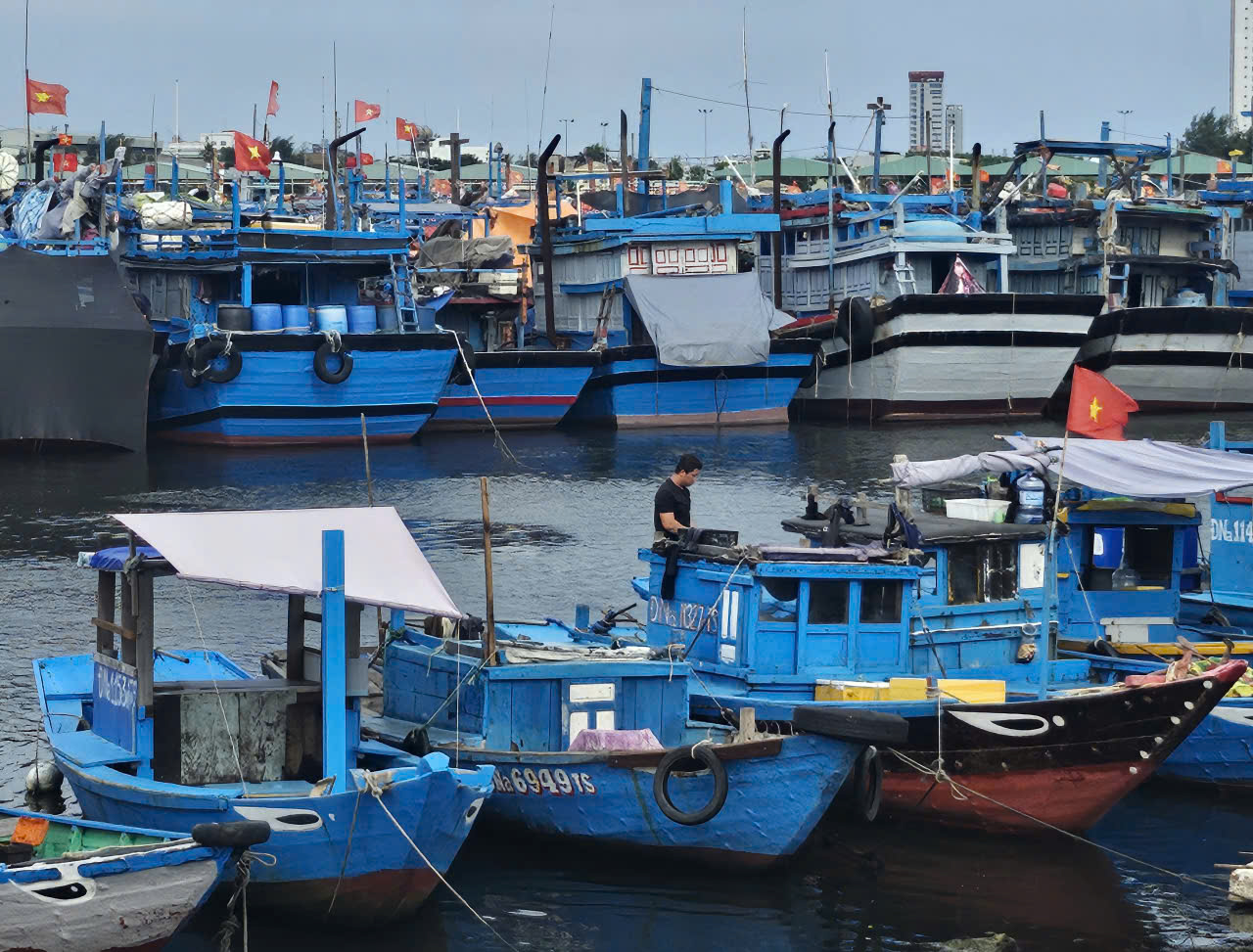 Đà Nẵng kêu gọi người dân trữ lương thực, nhu yếu phẩm ít nhất 3 ngày phòng lũ lớn- Ảnh 1. Đà Nẵng kêu gọi người dân trữ lương thực, nhu yếu phẩm ít nhất 3 ngày phòng lũ lớn- Ảnh 1.