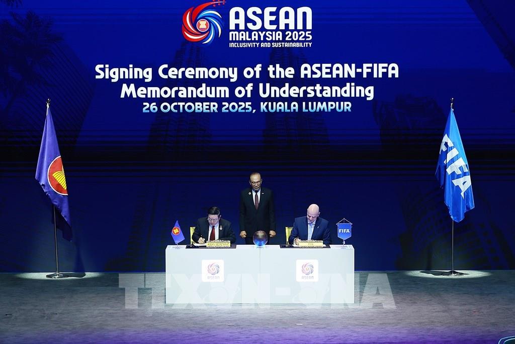Kỳ vọng từ Giải đấu mới FIFA ASEAN Cup- Ảnh 1.