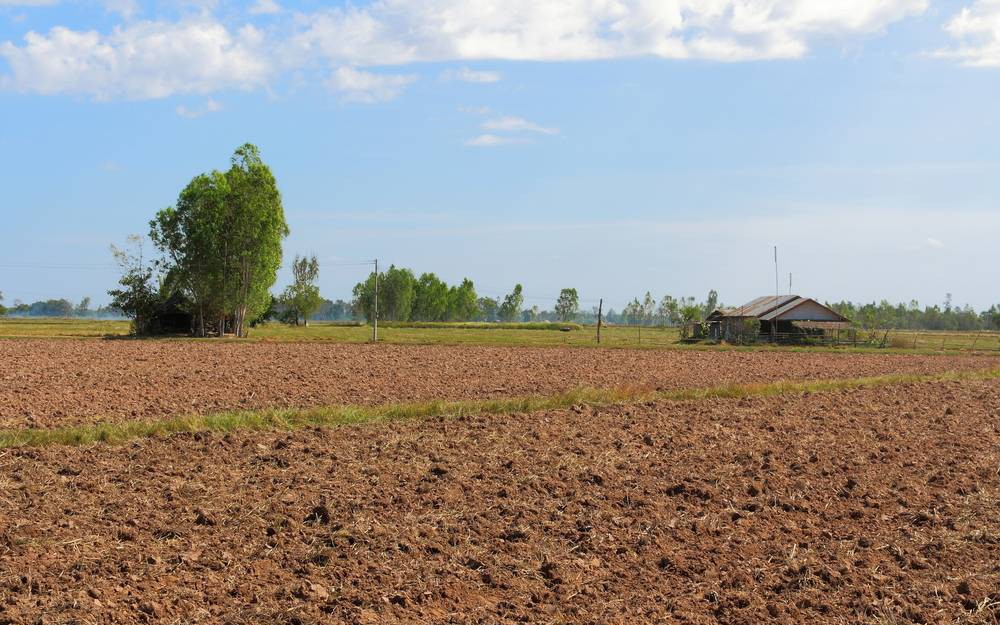 Cách xác định thời điểm sử dụng đất