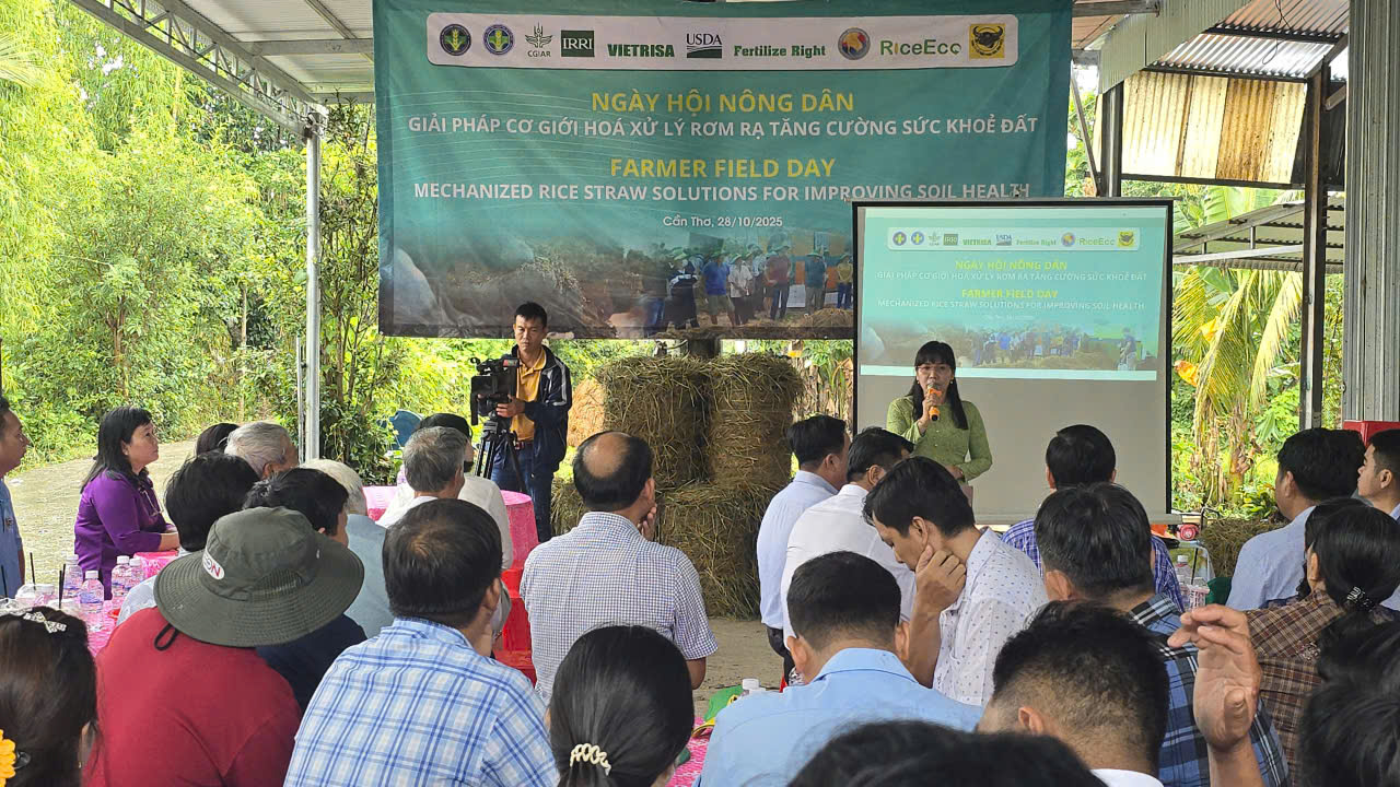 'Biến rơm rạ thành vàng': Nông dân Cần Thơ tiên phong ứng dụng công nghệ xử lý rơm bền vững- Ảnh 1.