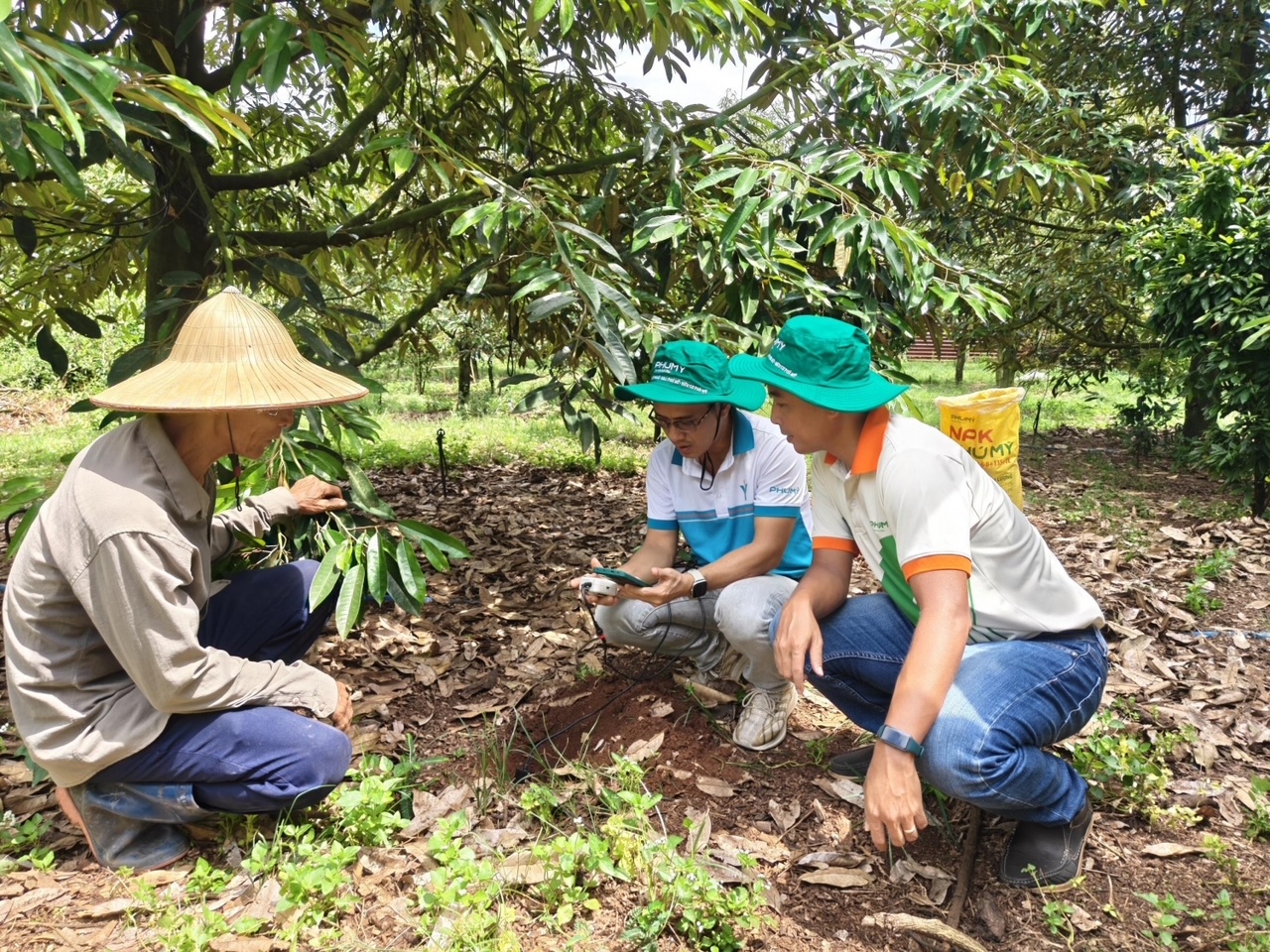 Phú Mỹ hợp tác cùng Enfarm: Bước tiến lớn trong chuyển đổi số nông nghiệp Việt Nam- Ảnh 1.