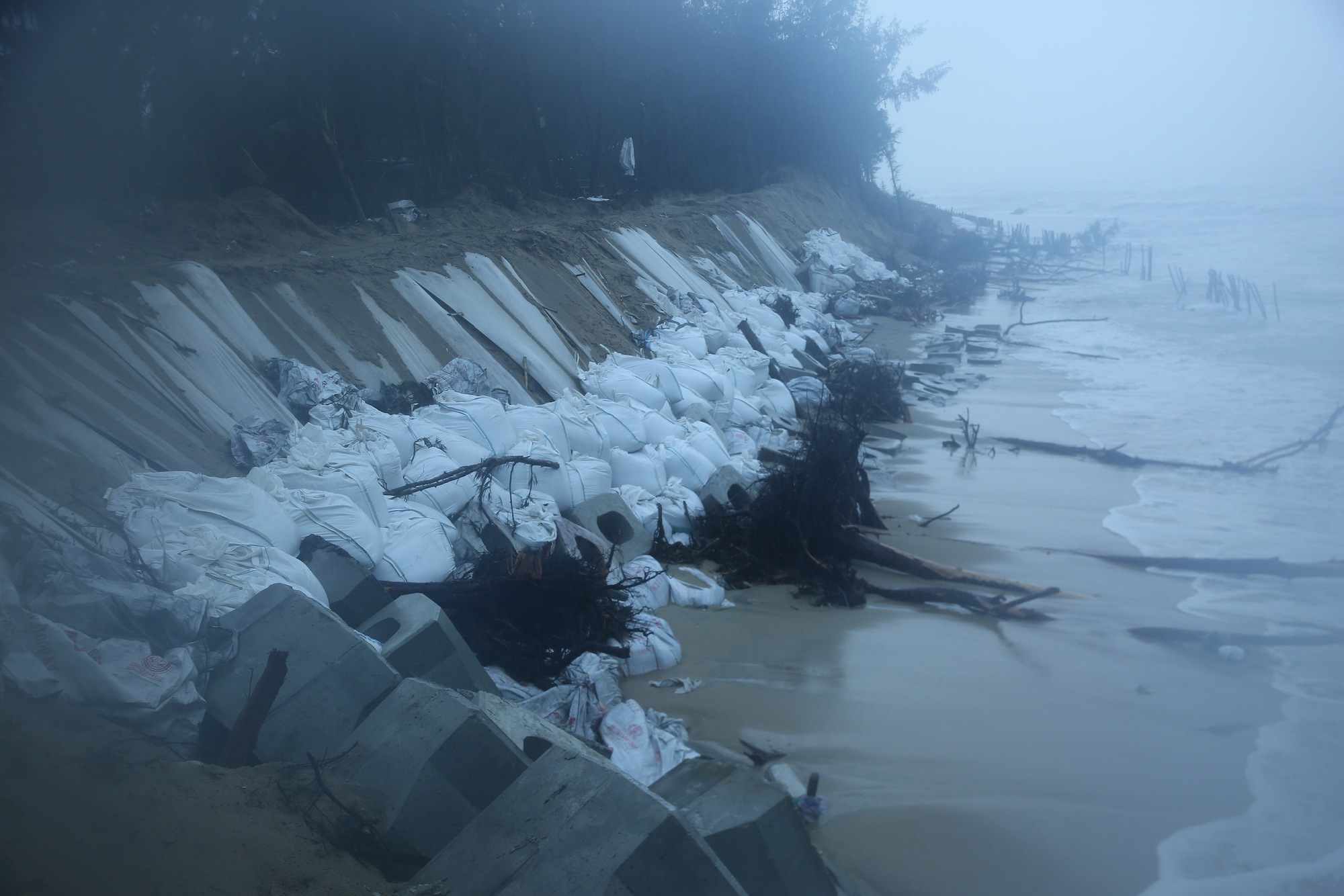 Phó Thủ tướng Trần Hồng Hà thăm hỏi, động viên người dân bị cô lập trong vùng lũ ở Đà Nẵng- Ảnh 5. Phó Thủ tướng Trần Hồng Hà thăm hỏi, động viên người dân bị cô lập trong vùng lũ ở Đà Nẵng- Ảnh 5.