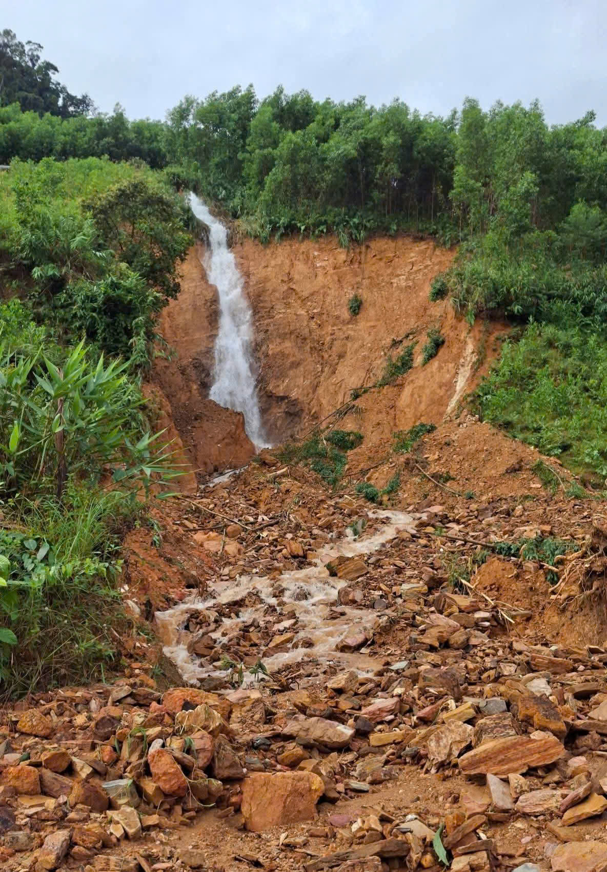 Quảng Ngãi: 'Chuyến xe nghĩa tình' tiếp tế cho người dân vùng cô lập- Ảnh 4. Quảng Ngãi: 'Chuyến xe nghĩa tình' tiếp tế cho người dân vùng cô lập- Ảnh 4.