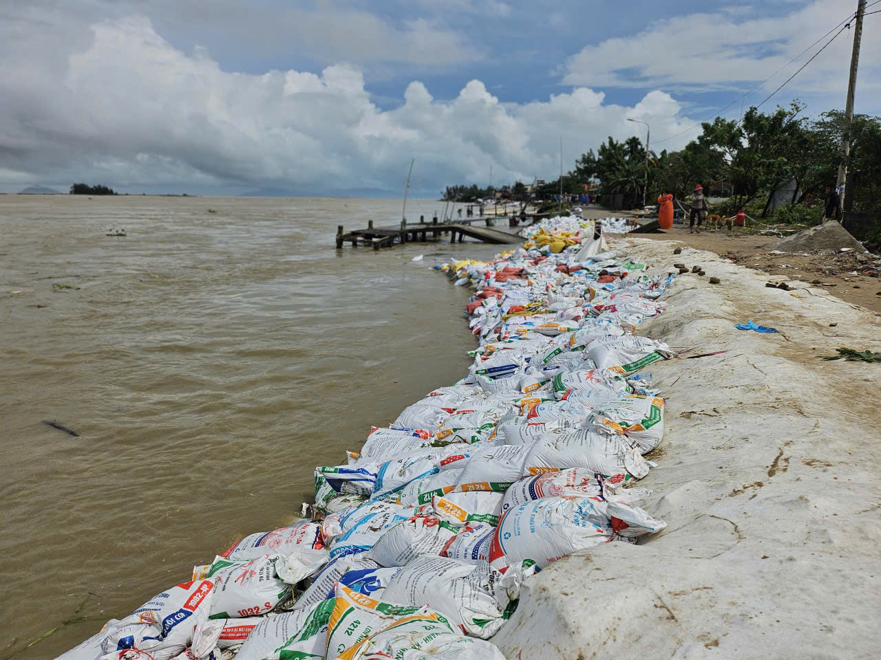Hàng nghìn người 'vá kè' chống lũ lịch sử, cứu làng ở hạ lưu sông Thu Bồn- Ảnh 9. Hàng nghìn người 'vá kè' chống lũ lịch sử, cứu làng ở hạ lưu sông Thu Bồn- Ảnh 9.