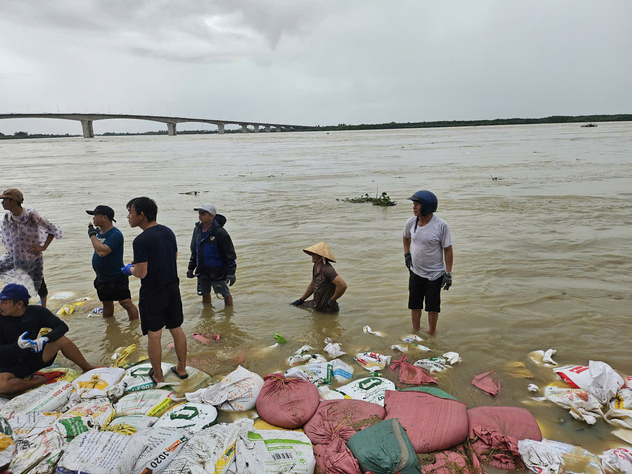 Hàng nghìn người 'vá kè' chống lũ lịch sử, cứu làng ở hạ lưu sông Thu Bồn- Ảnh 7. Hàng nghìn người 'vá kè' chống lũ lịch sử, cứu làng ở hạ lưu sông Thu Bồn- Ảnh 7.