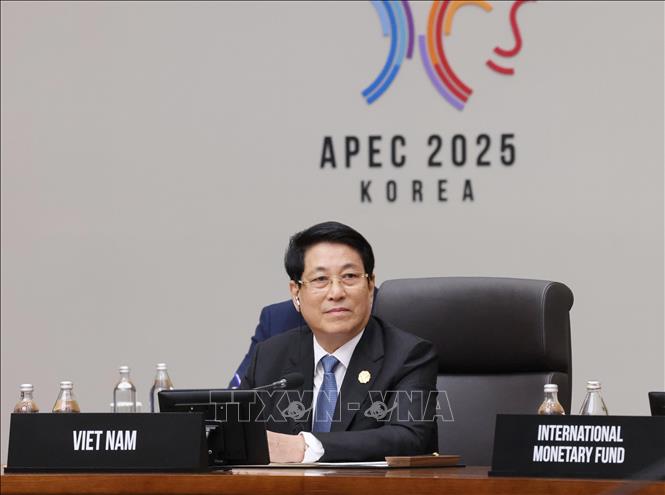 Dự phiên thứ nhất Hội nghị Cấp cao APEC: Chủ tịch nước Lương Cường đề xuất 3 trọng tâm- Ảnh 4.